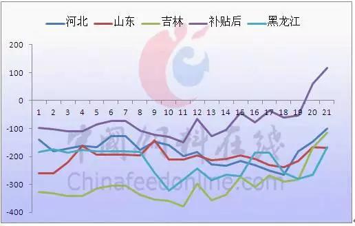 玉米深加工：缺一点，差一面 