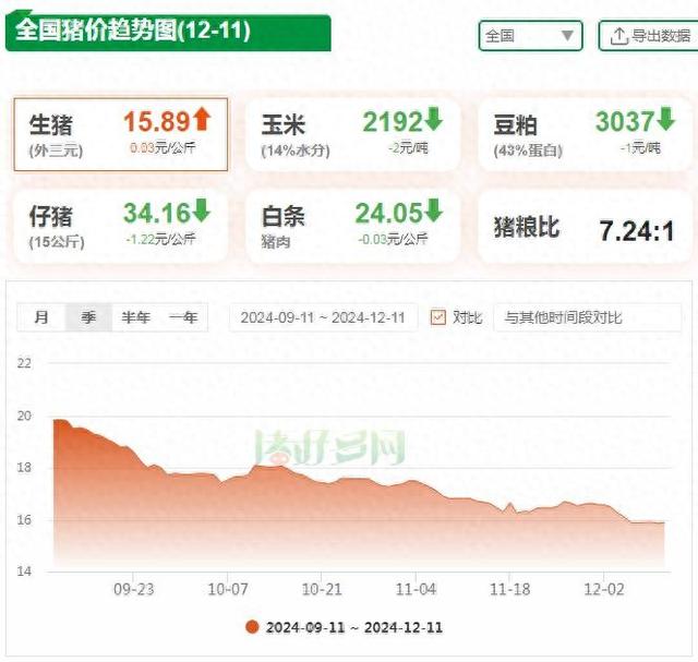 12月11日生猪价格全面上涨，腌腊高峰助力猪价飙升？