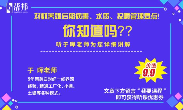 大棚对虾养殖秘籍，亩产5500斤，纯利润高达7万！