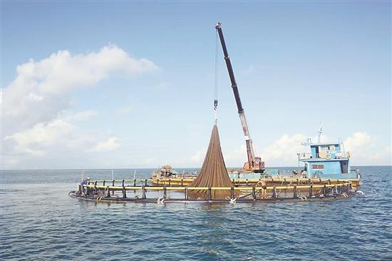 汕头南澳耕泰洋深海水箱养殖基地