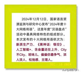 2024十大流行语揭晓，趣味背后蕴含时代深意