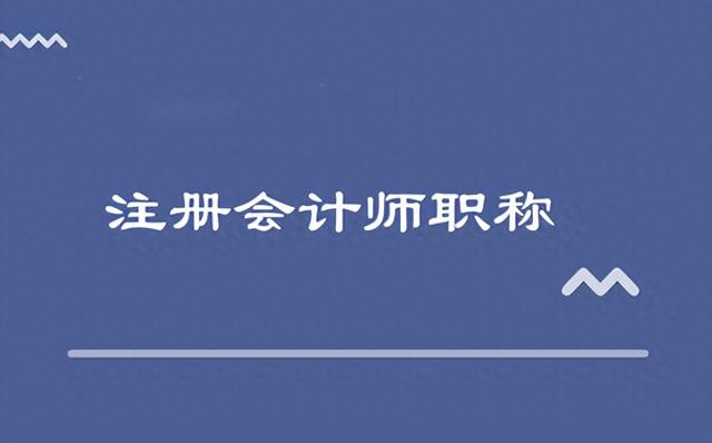 2024年注会CPA教材PDF及战略知识点上篇汇总