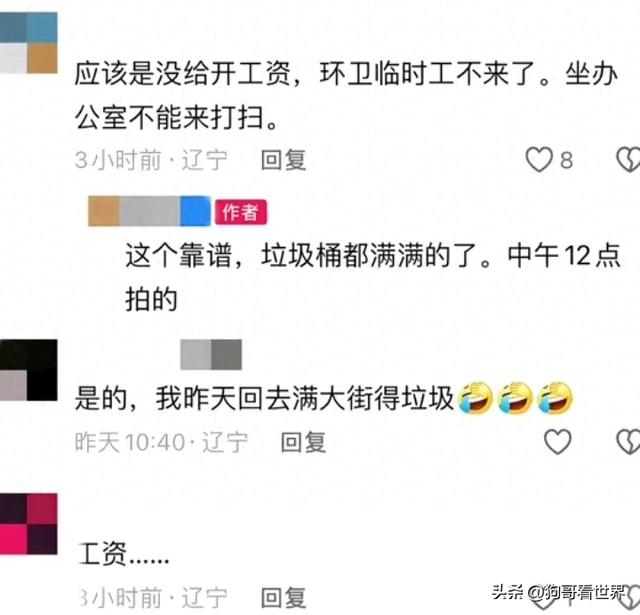 辽宁腾鳌镇垃圾堆积无人清理，官方回应模糊引网友猜测