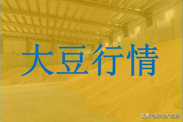 大豆市场价格行情抢先看！2024年12月19日