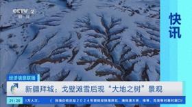 新疆雪后现大地之树，美景令人叹为观止