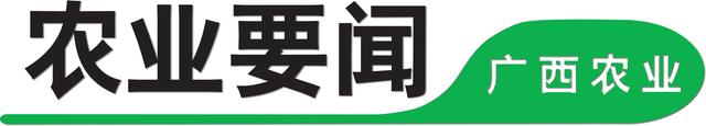 农业农村部信息中心总工程师刘桂才赴广西进行基层调研