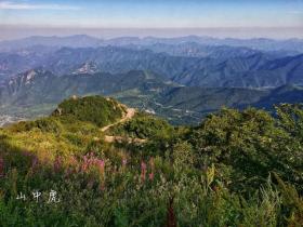 探秘百花山风景区，自然美景与生态宝库