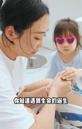 严屹宽老婆杜若溪帮女儿养鸡，小鸡生病还挂急诊